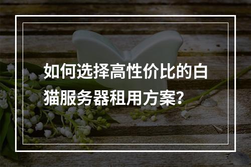 如何选择高性价比的白猫服务器租用方案？