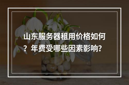 山东服务器租用价格如何？年费受哪些因素影响？
