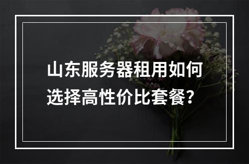 山东服务器租用如何选择高性价比套餐？
