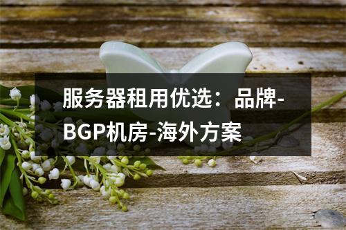 服务器租用优选：品牌-BGP机房-海外方案