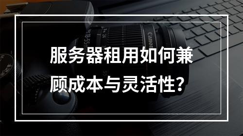 服务器租用如何兼顾成本与灵活性？