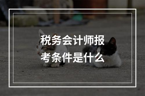 税务会计师报考条件是什么