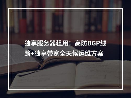 独享服务器租用：高防BGP线路+独享带宽全天候运维方案