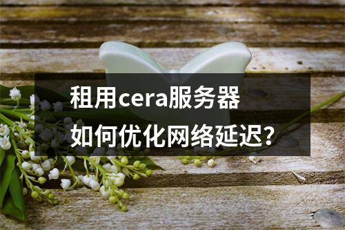 租用cera服务器如何优化网络延迟？