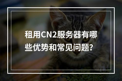 租用CN2服务器有哪些优势和常见问题？