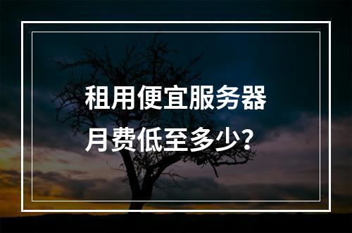 租用便宜服务器月费低至多少？
