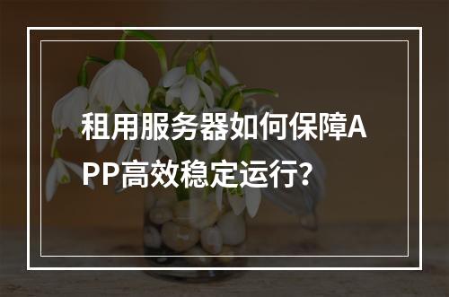 租用服务器如何保障APP高效稳定运行？