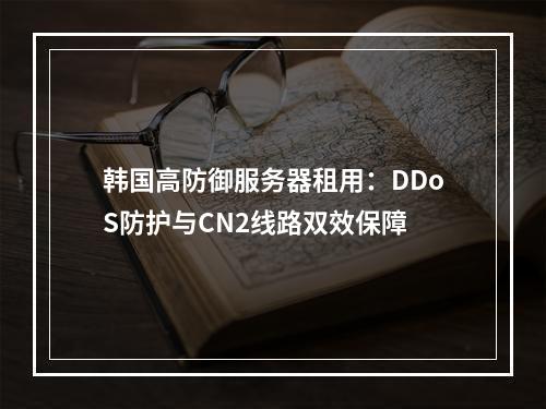 韩国高防御服务器租用：DDoS防护与CN2线路双效保障