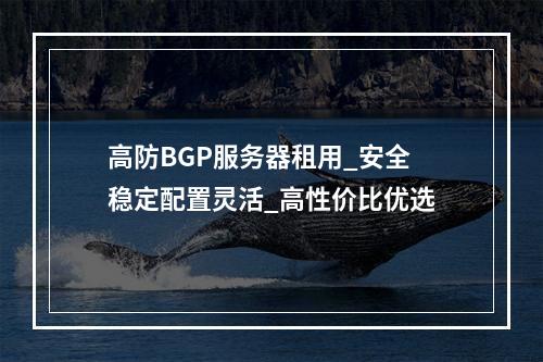 高防BGP服务器租用_安全稳定配置灵活_高性价比优选