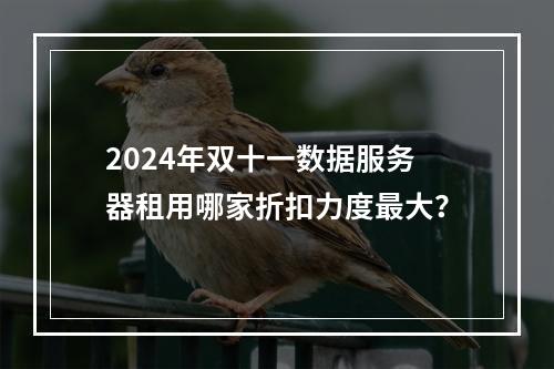 2024年双十一数据服务器租用哪家折扣力度最大？
