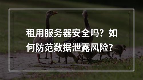 租用服务器安全吗？如何防范数据泄露风险？