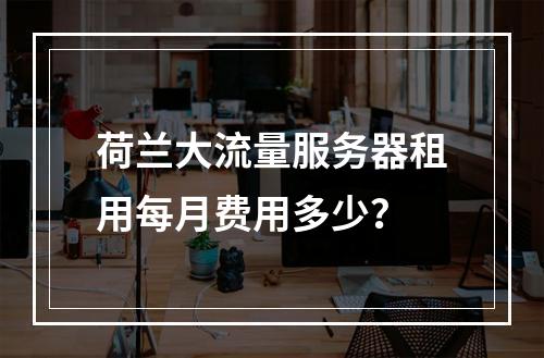 荷兰大流量服务器租用每月费用多少？