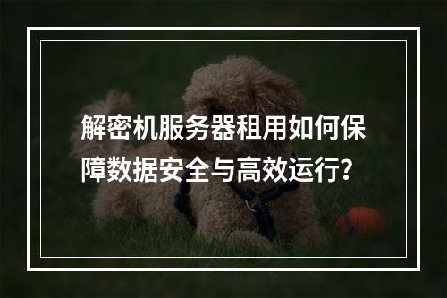 解密机服务器租用如何保障数据安全与高效运行？