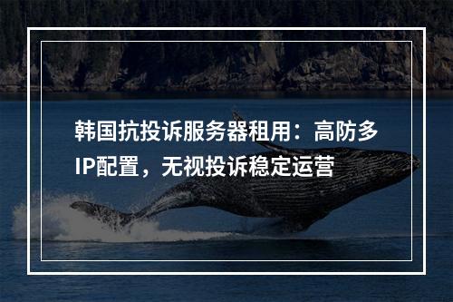 韩国抗投诉服务器租用：高防多IP配置，无视投诉稳定运营