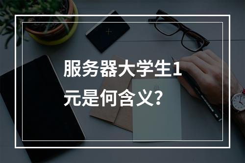 服务器大学生1元是何含义?