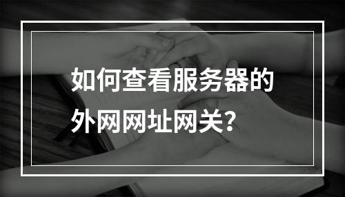 如何查看服务器的外网网址网关?