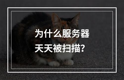 为什么服务器天天被扫描?