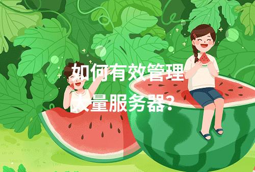 如何有效管理大量服务器?