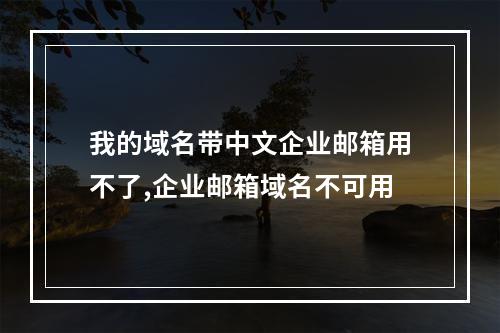 我的域名带中文企业邮箱用不了,企业邮箱域名不可用