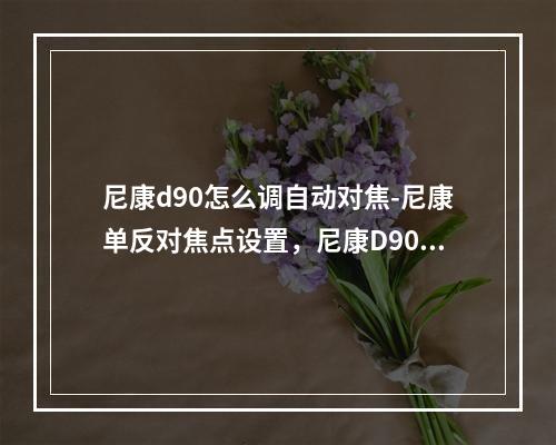 尼康d90怎么调自动对焦-尼康单反对焦点设置,尼康D90怎么调点对焦