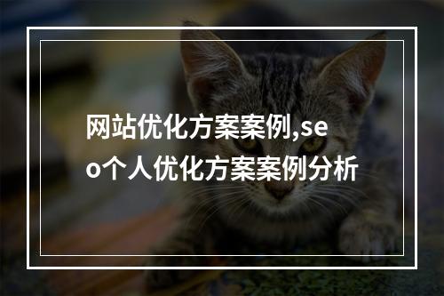 网站优化方案案例,seo个人优化方案案例分析