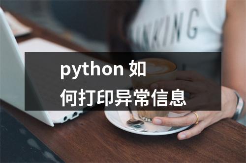 python 如何打印异常信息