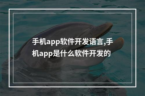 手机app软件开发语言,手机app是什么软件开发的