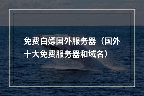 免费白嫖国外服务器(国外十大免费服务器和域名)