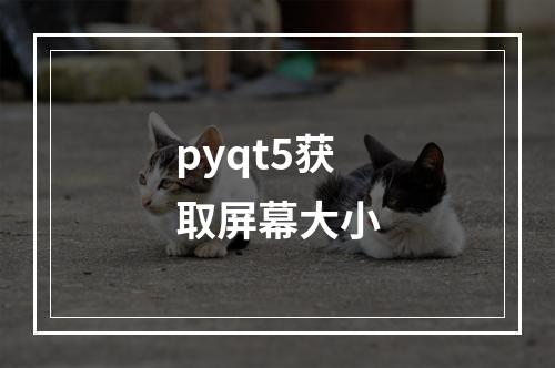 pyqt5获取屏幕大小