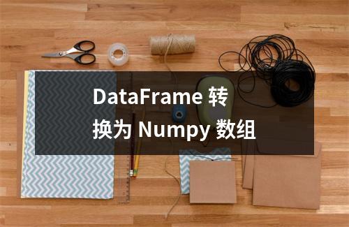 DataFrame 转换为 Numpy 数组