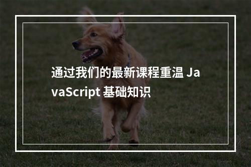通过我们的最新课程重温 JavaScript 基础知识