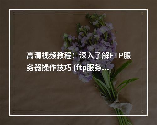 高清视频教程:深入了解FTP服务器操作技巧 (ftp服务器视频讲座)