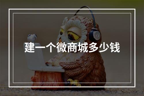 建一个微商城多少钱