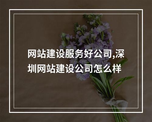 网站建设服务好公司,深圳网站建设公司怎么样