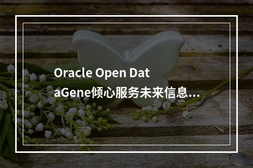 Oracle Open DataGene倾心服务未来信息化