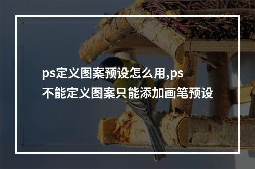 ps定义图案预设怎么用,ps不能定义图案只能添加画笔预设