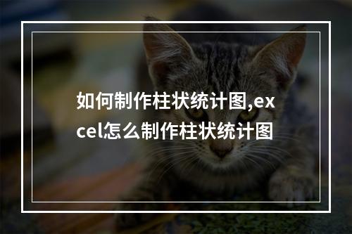 如何制作柱状统计图,excel怎么制作柱状统计图
