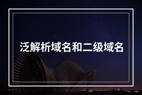 泛解析域名和二级域名