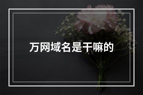 万网域名是干嘛的