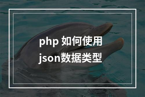 php 如何使用 json数据类型
