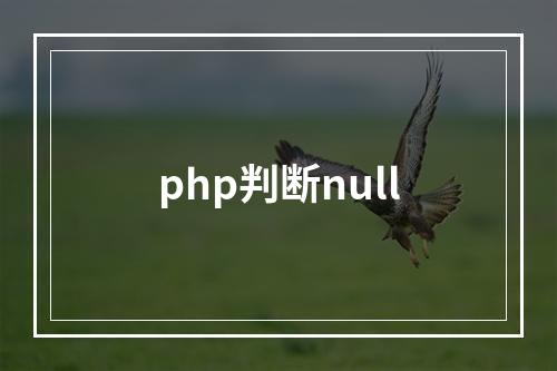 php判断null