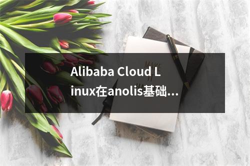 Alibaba Cloud Linux在anolis基础上优化的,所以应该在阿里云上更加适应吧?
