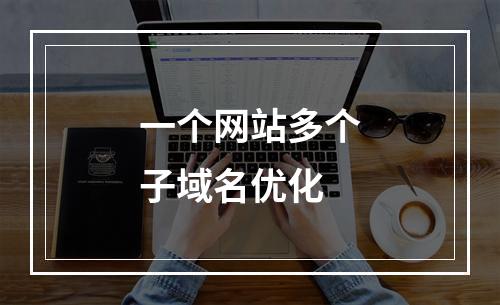 一个网站多个子域名优化