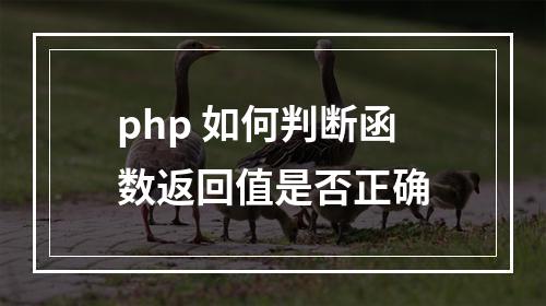 php 如何判断函数返回值是否正确