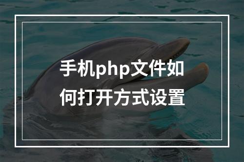 手机php文件如何打开方式设置