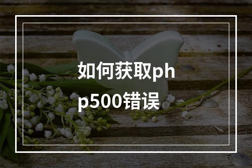如何获取php500错误