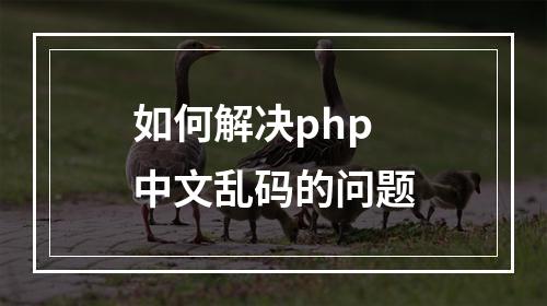 如何解决php中文乱码的问题