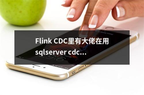 Flink CDC里有大佬在用sqlserver cdc时候出现这个错误吗?