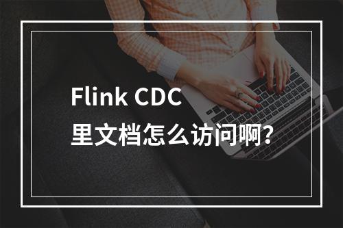 Flink CDC里文档怎么访问啊?