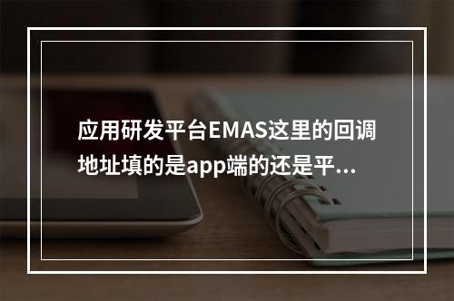 应用研发平台EMAS这里的回调地址填的是app端的还是平台端的呢?
